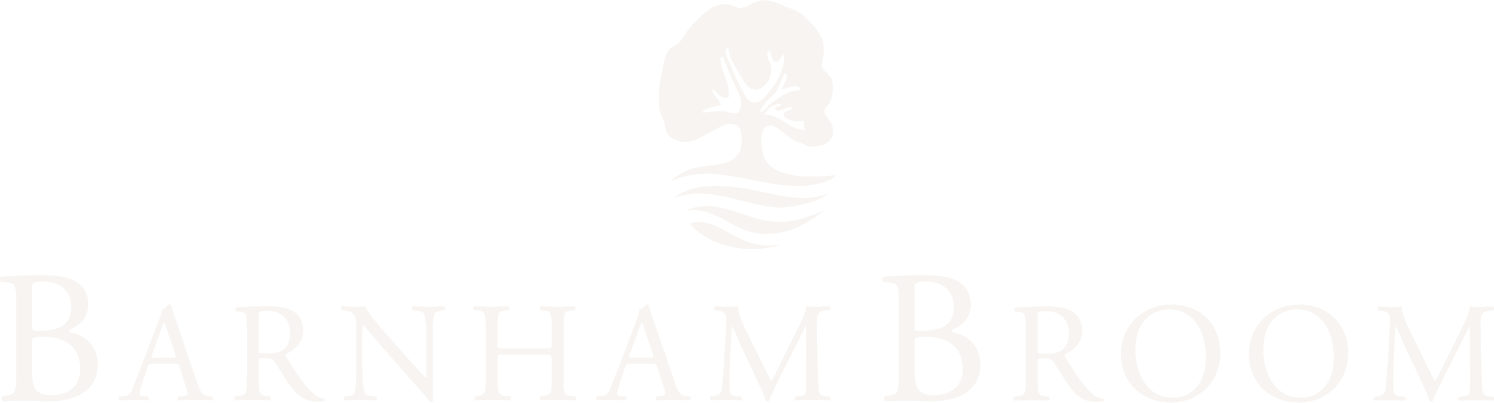 Barnham Broom Logo Cream