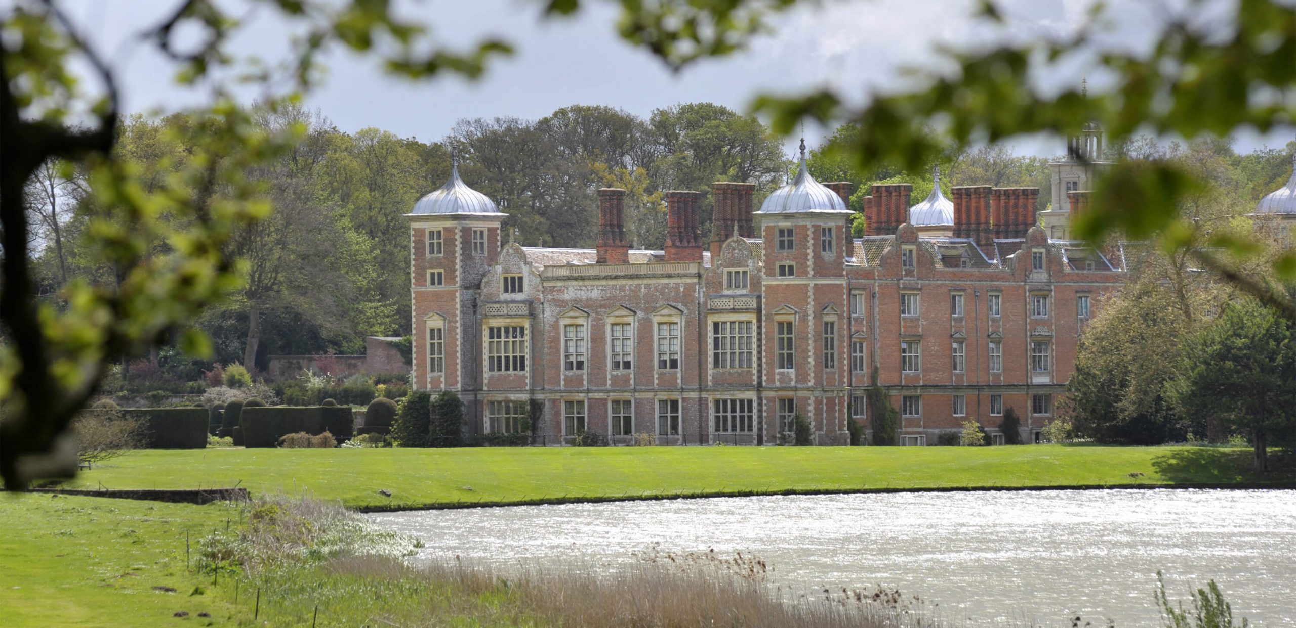 greens in all their glory