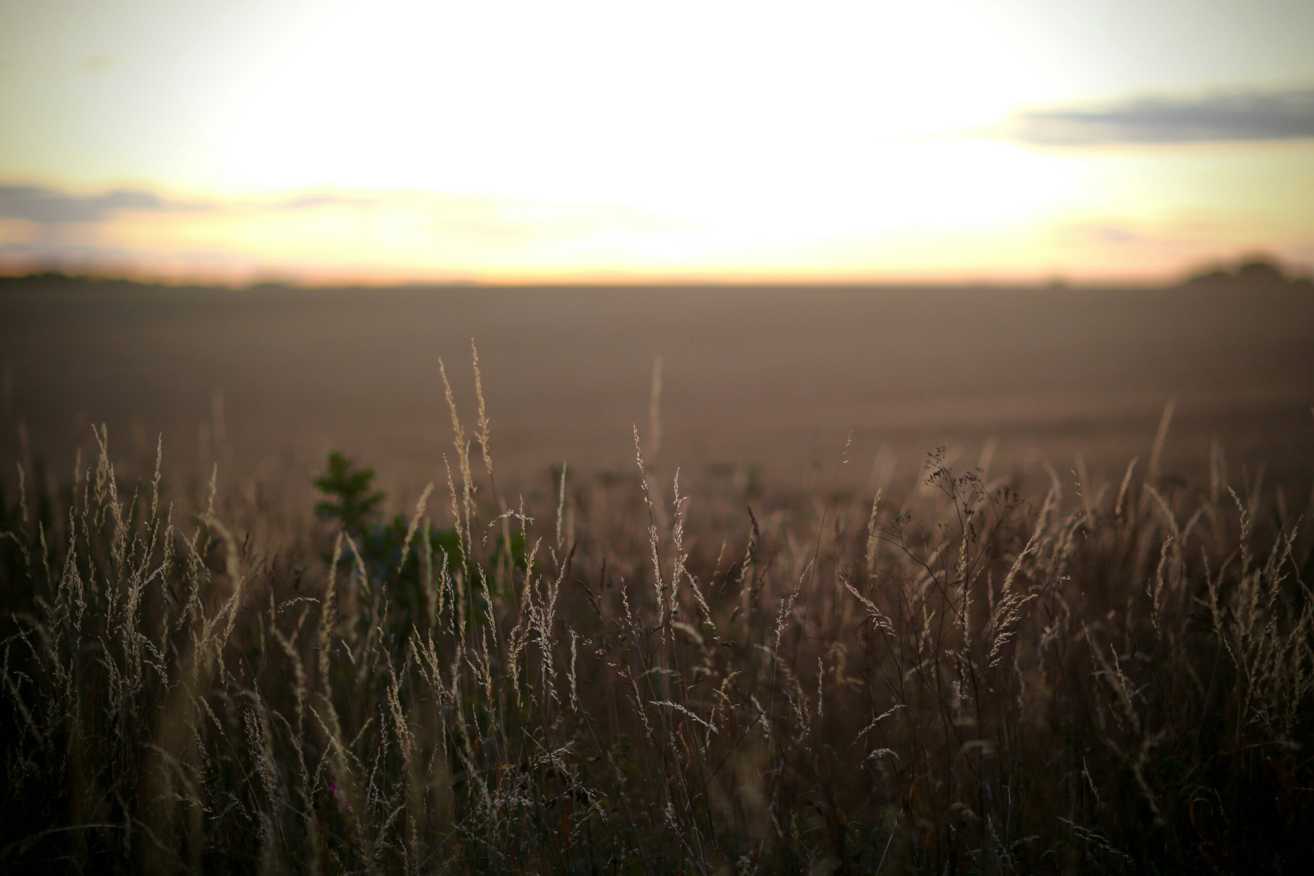 luxury hotel in norfolk 2 scaled