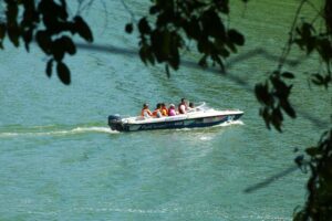 Boat trips