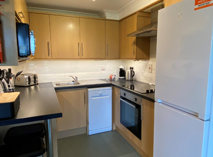 Saxon 2 holiday apartment 5