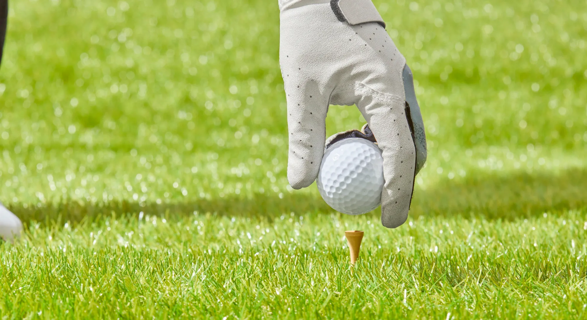 company golf days norwich