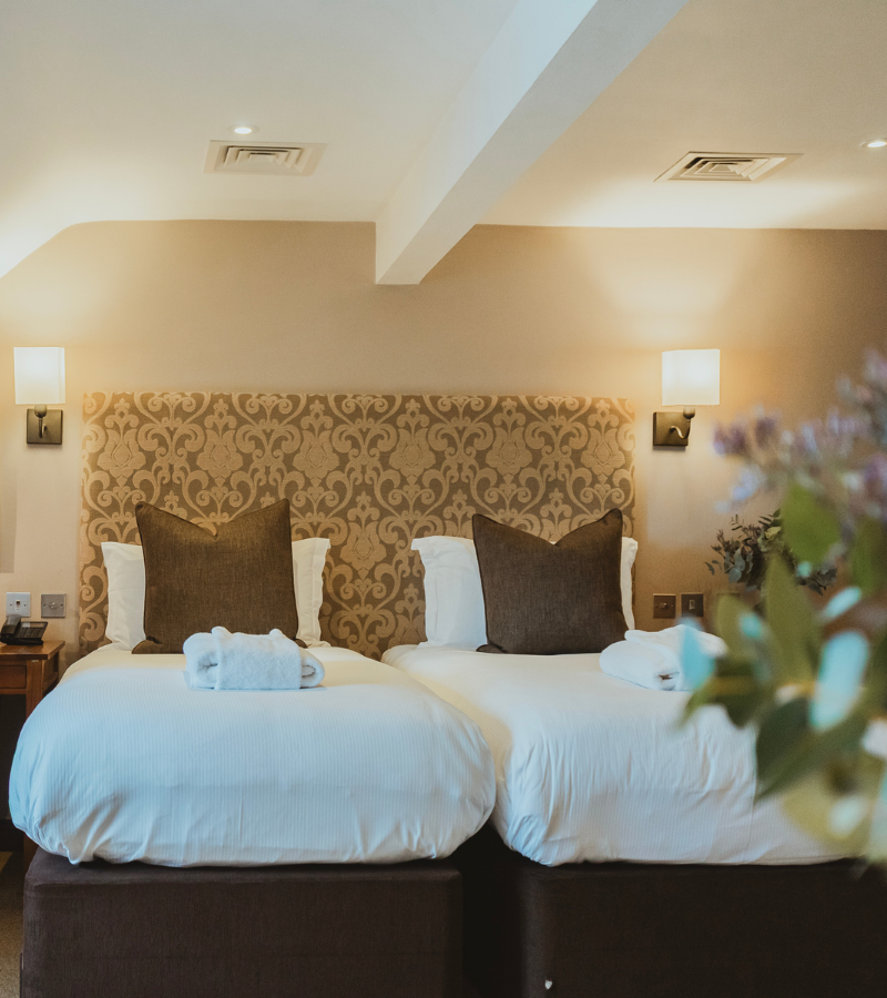 superior twin room